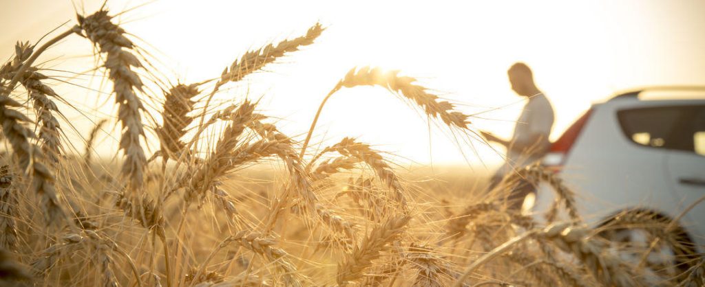 Nejlevnější mobilní internet na cestách