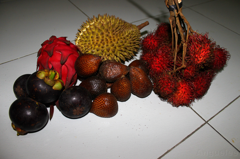 Exotické ovoce – durian, rambutan, dračí a hadí ovoce, mangostýny