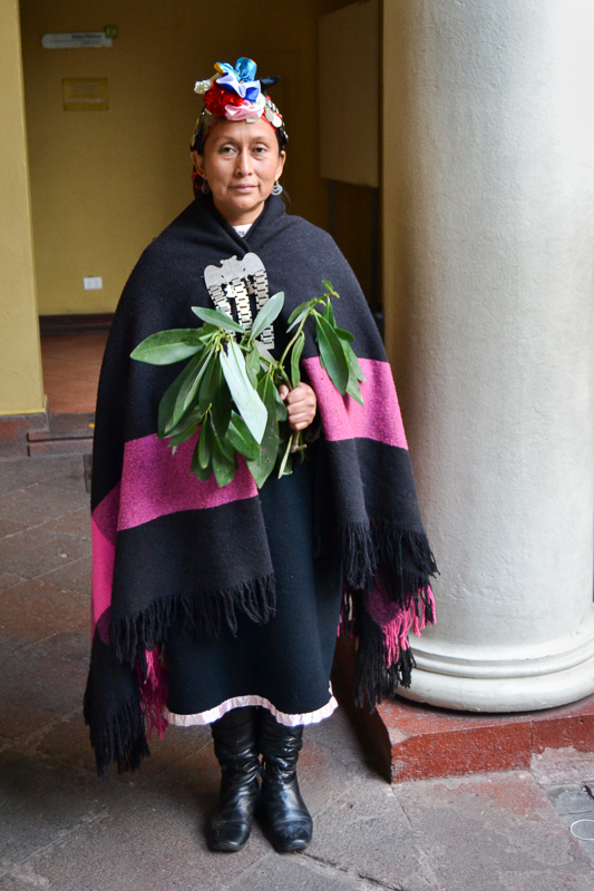 Mapuche – kmen indiánů