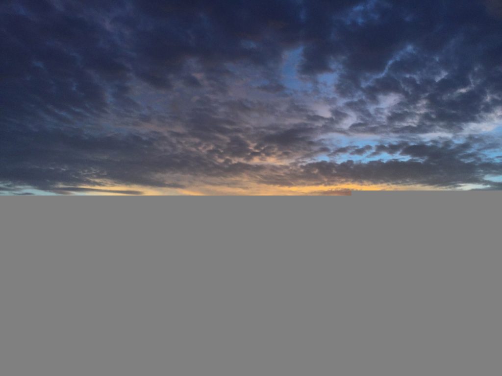 10623600 905689869519609 1409367872958068544 o e1474233934177