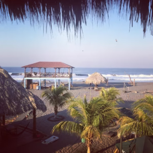 12967956 970166786405250 3185472576127937119 o