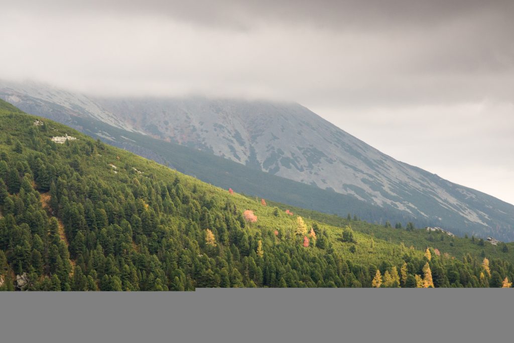 FXC0259 e1479822341403