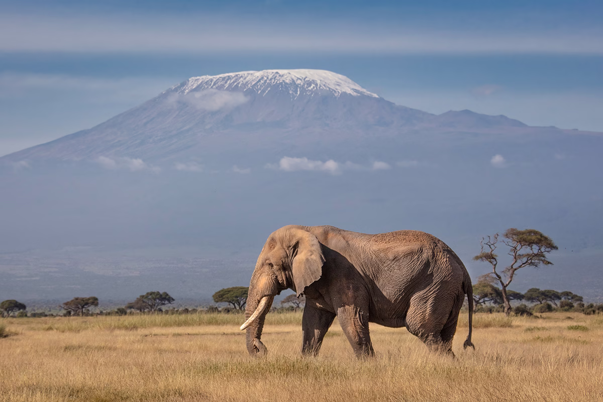 Z Keni uvidíte i Mt. Kilimanjaro, nejvyšší horu Afriky