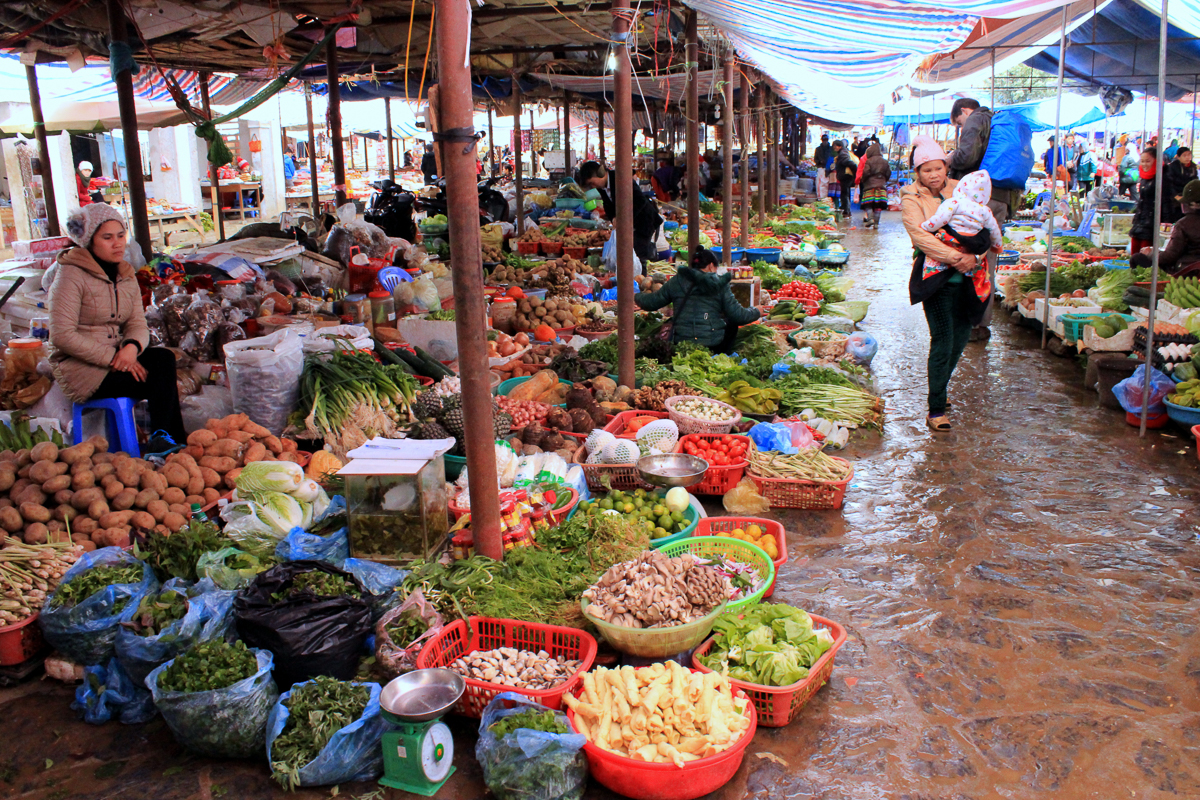 trh ve vietnamu