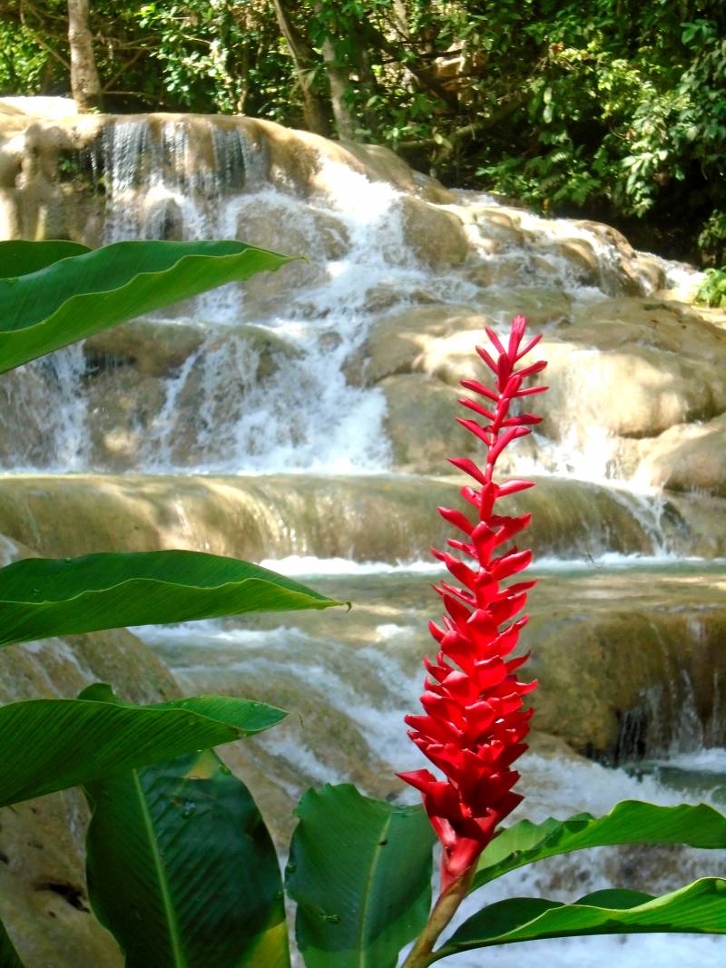 Dunn’s River Falls