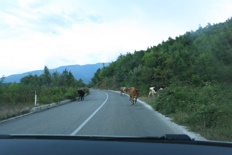 Na ceste zo Skopje do Ohridu