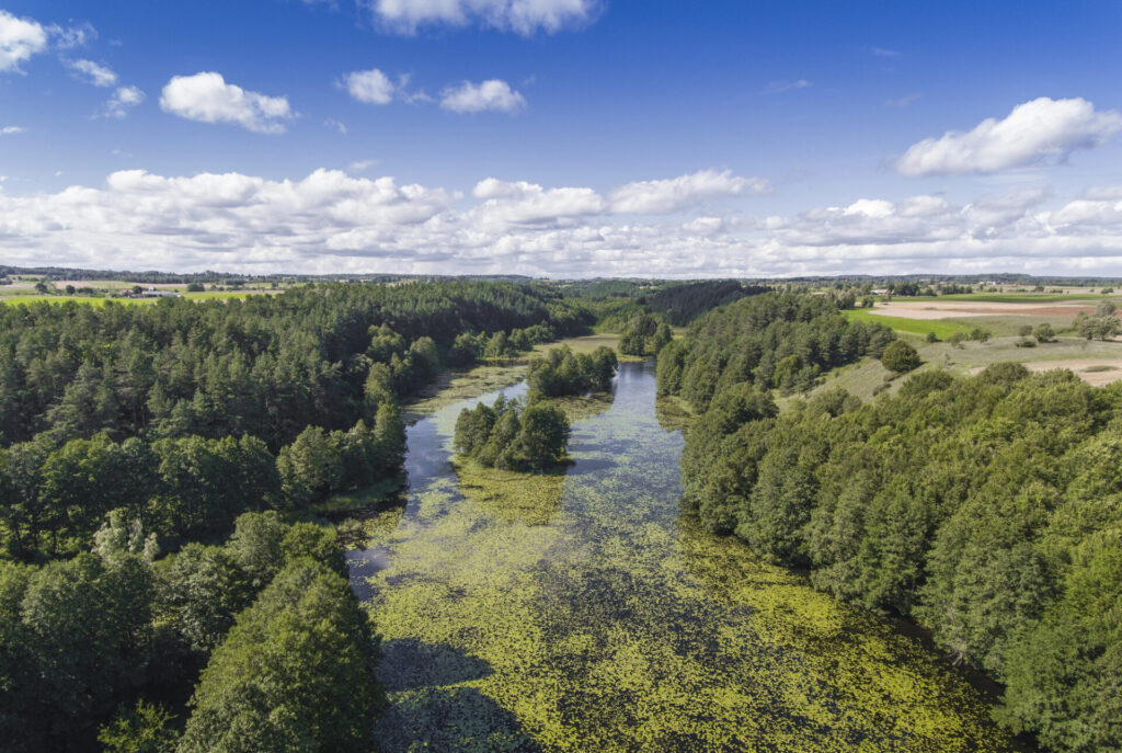 Suwalszczyzna