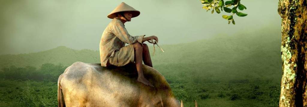 grandpa 519246 1920 e1508817580438