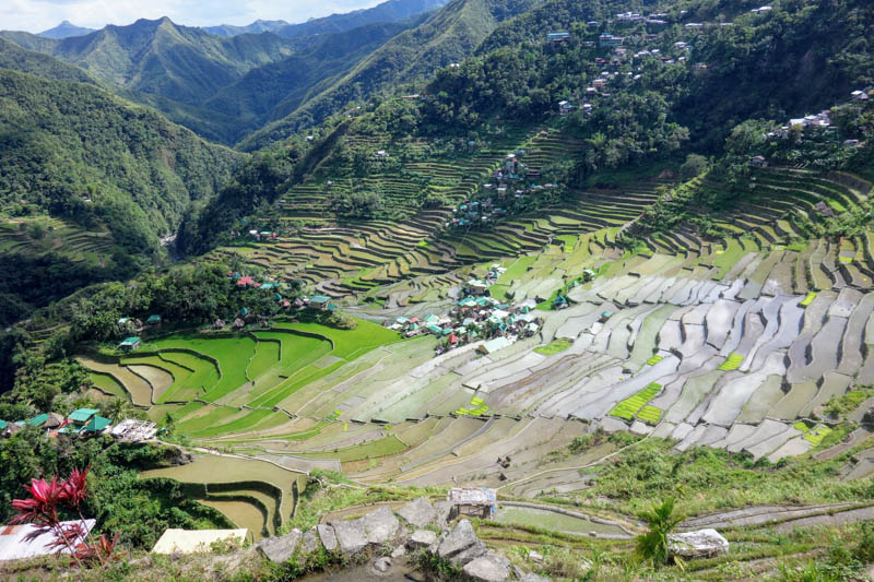 Rýžové terasy v Batadu a okolí Banaue (Luzon)