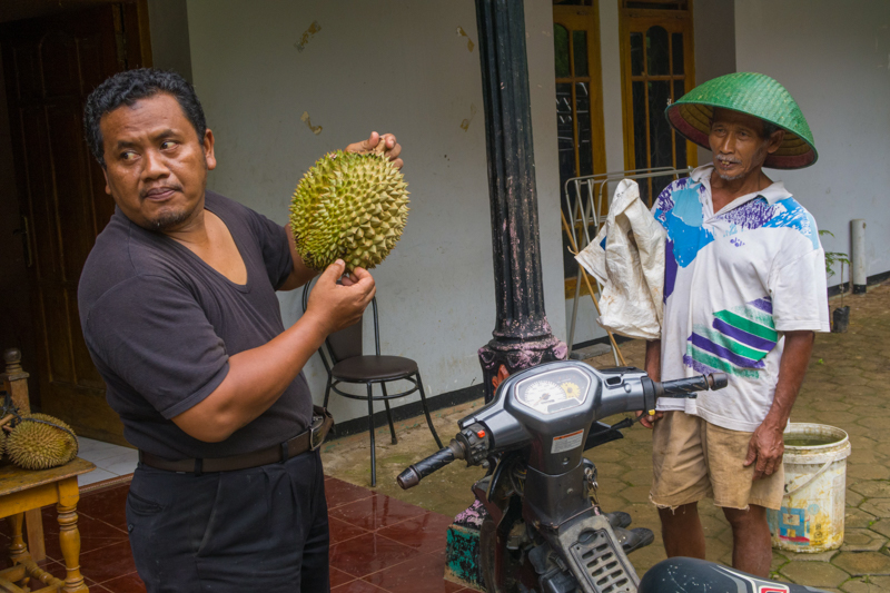 durian indonésie