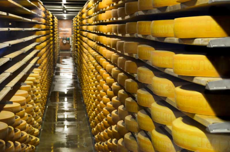 Gruyère sýr švýcarsko
