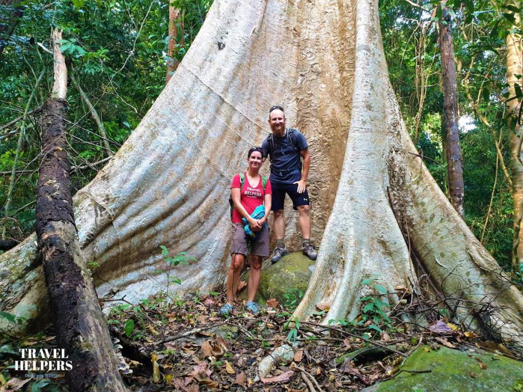 Dva cestovatelé stojí v tropickém pralese u gigantického stromu s mohutnými kořenovými náběhy. Žena má tričko s logem Travel Helpers.