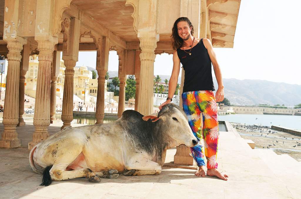 Karel Štěpánek se usmívá a hladí posvátnou krávu ležící pod kamennou kolonádou u jezera Pushkar v Indii. V pozadí chrámy a kopce.