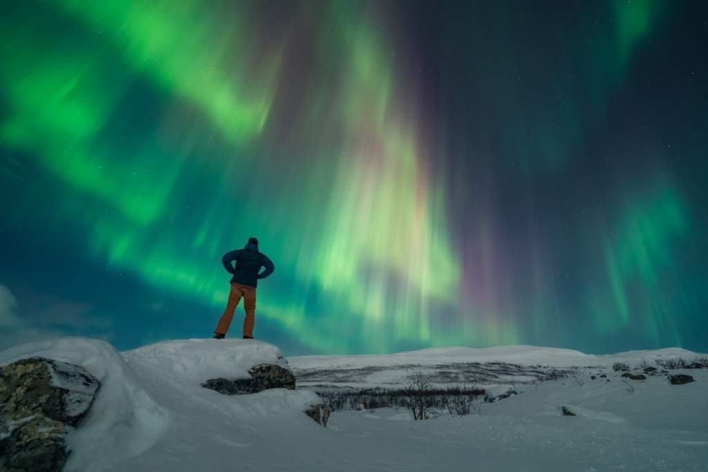 Cestovatel v zimní bundě a čepici pozoruje nádhernou zelenofialovou polární záři na noční obloze nad zasněženou krajinou.