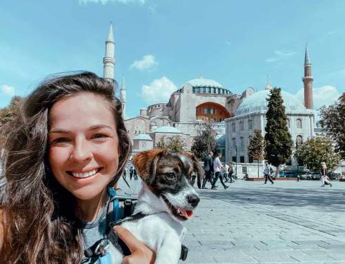 Nicolette Havlová: 2025 km pěšky do Istanbulu, studentský život v dodávce, stopování a překonávání sebe sama