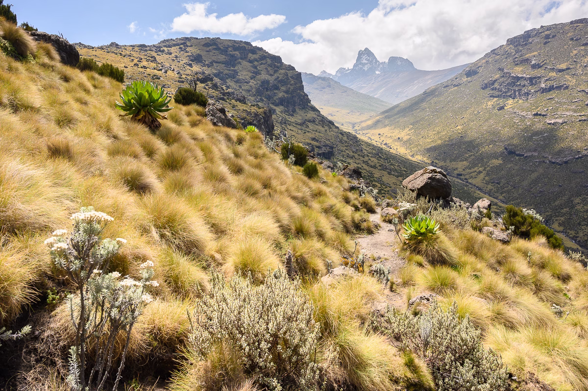 Cesta na Mount Kenya