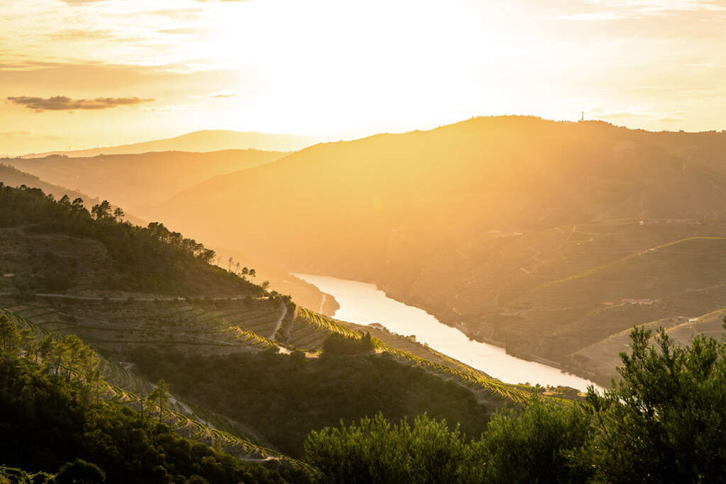 Vinice v údolí řeky Douro nad Portem, Portugalsko