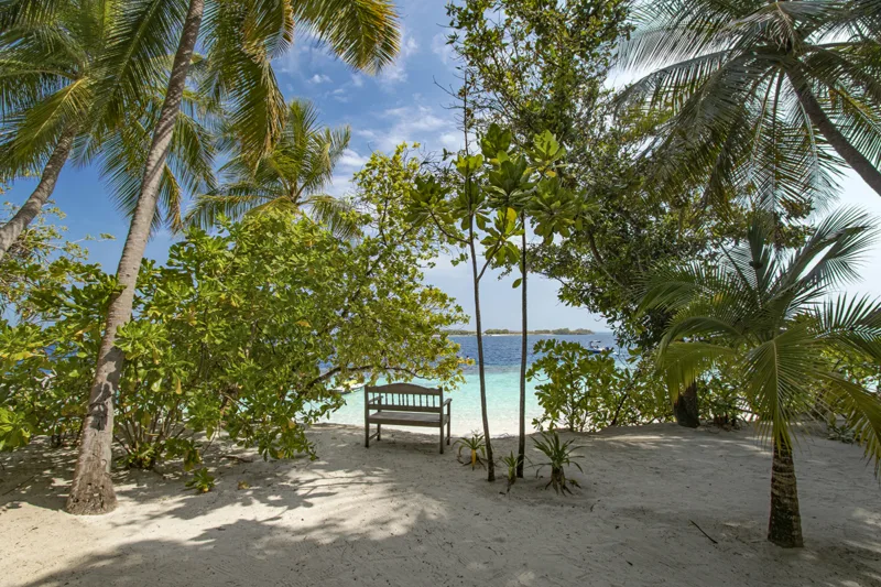 Nízkorozpočtový resort Royal Island 4* na Baa atolu
