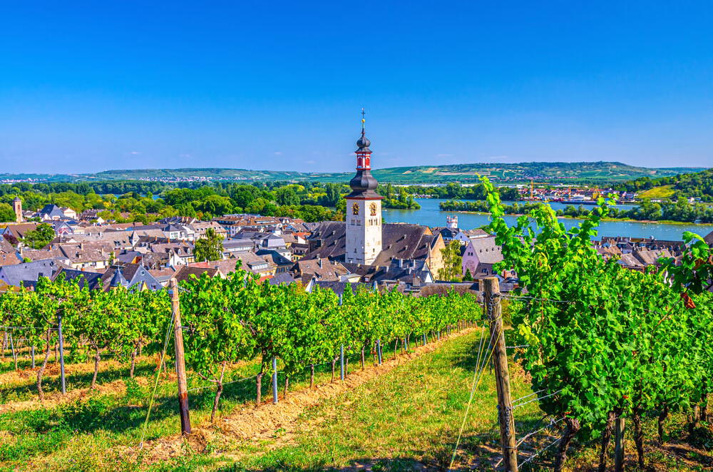Vinice nad Rüdesheimem v Údolí Rýna, památka UNESCO