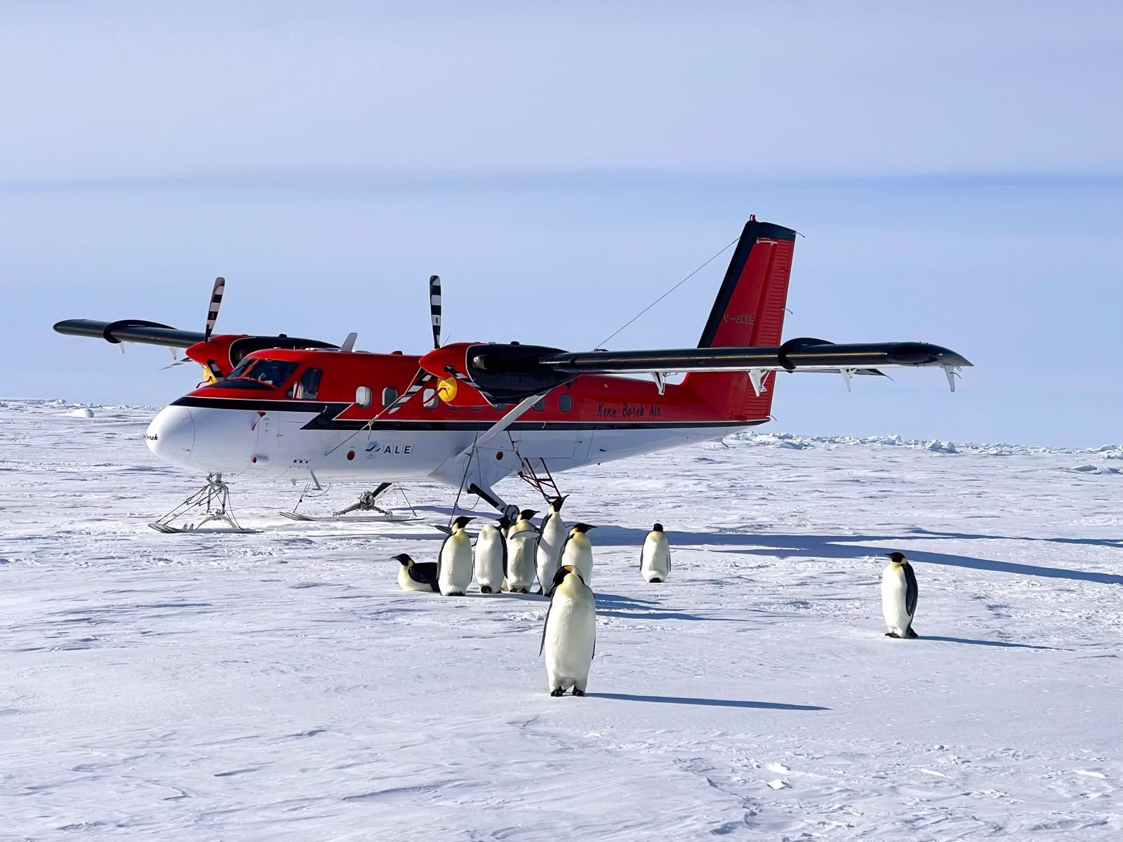Antarctic Logistics and Expeditions