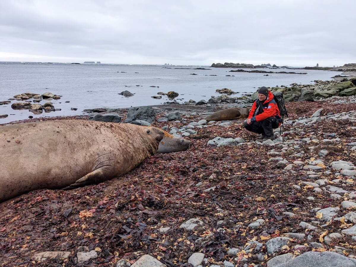 Antarktida zvířata