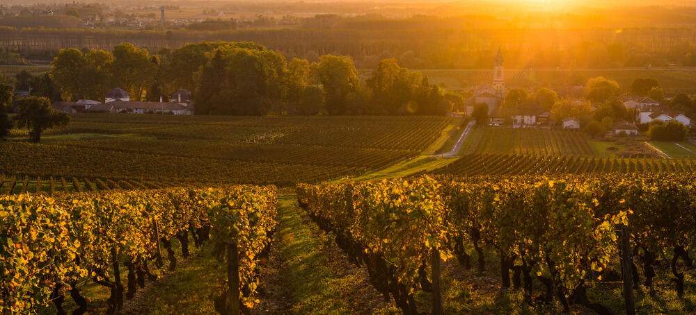 Médoc