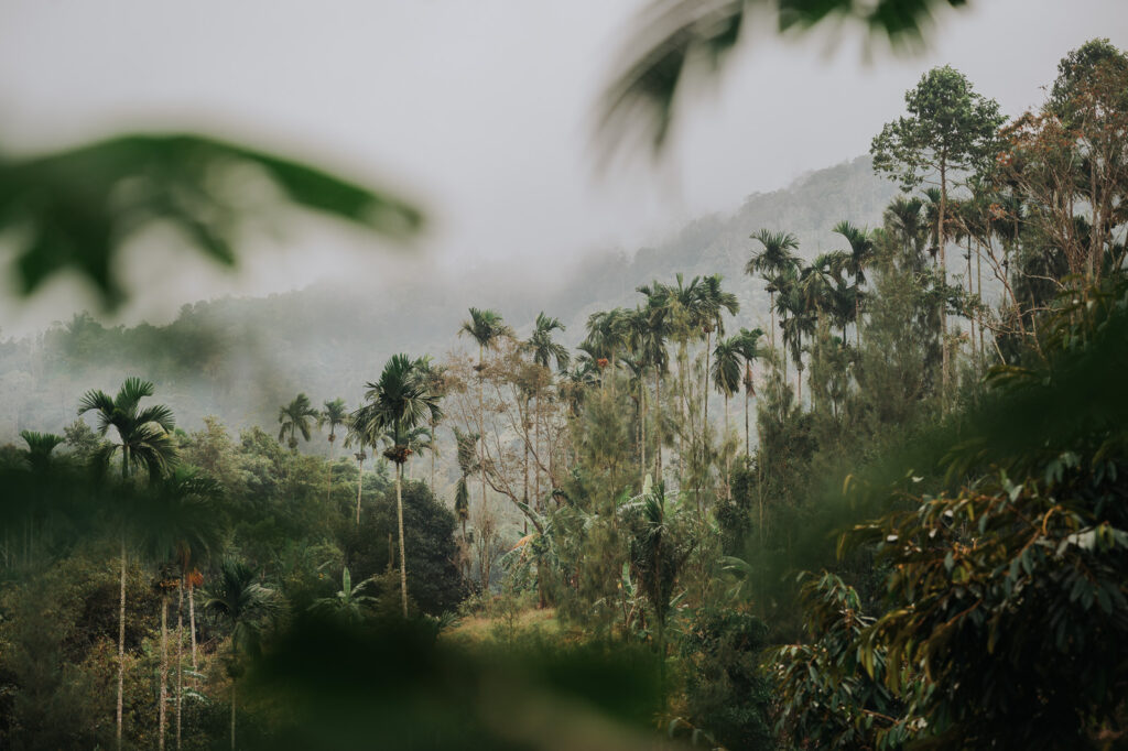 Vnitrozemí Ko Samui