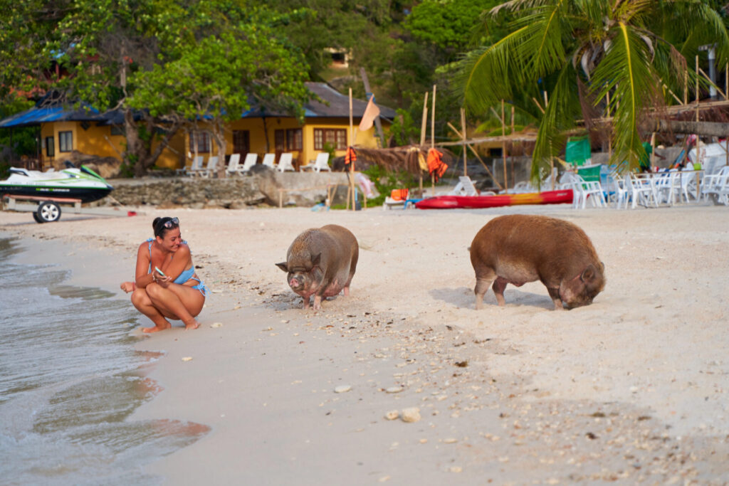 Výlet na Pig Island, Ko Samui, Thajsko