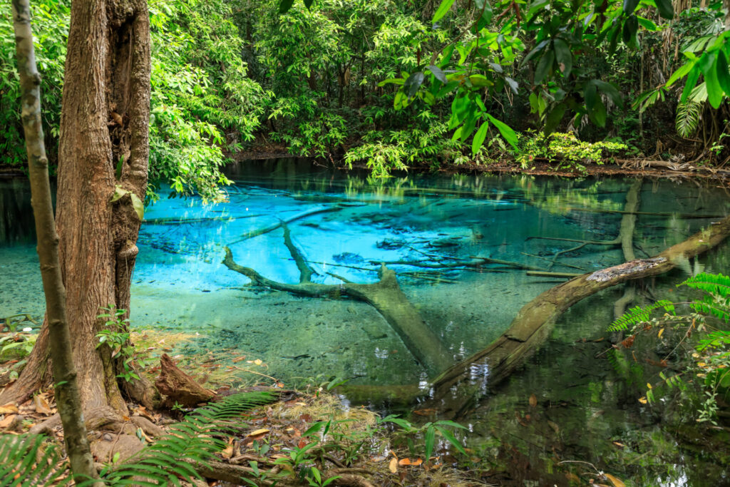 Emerald Pool v Krabi, Thajsko