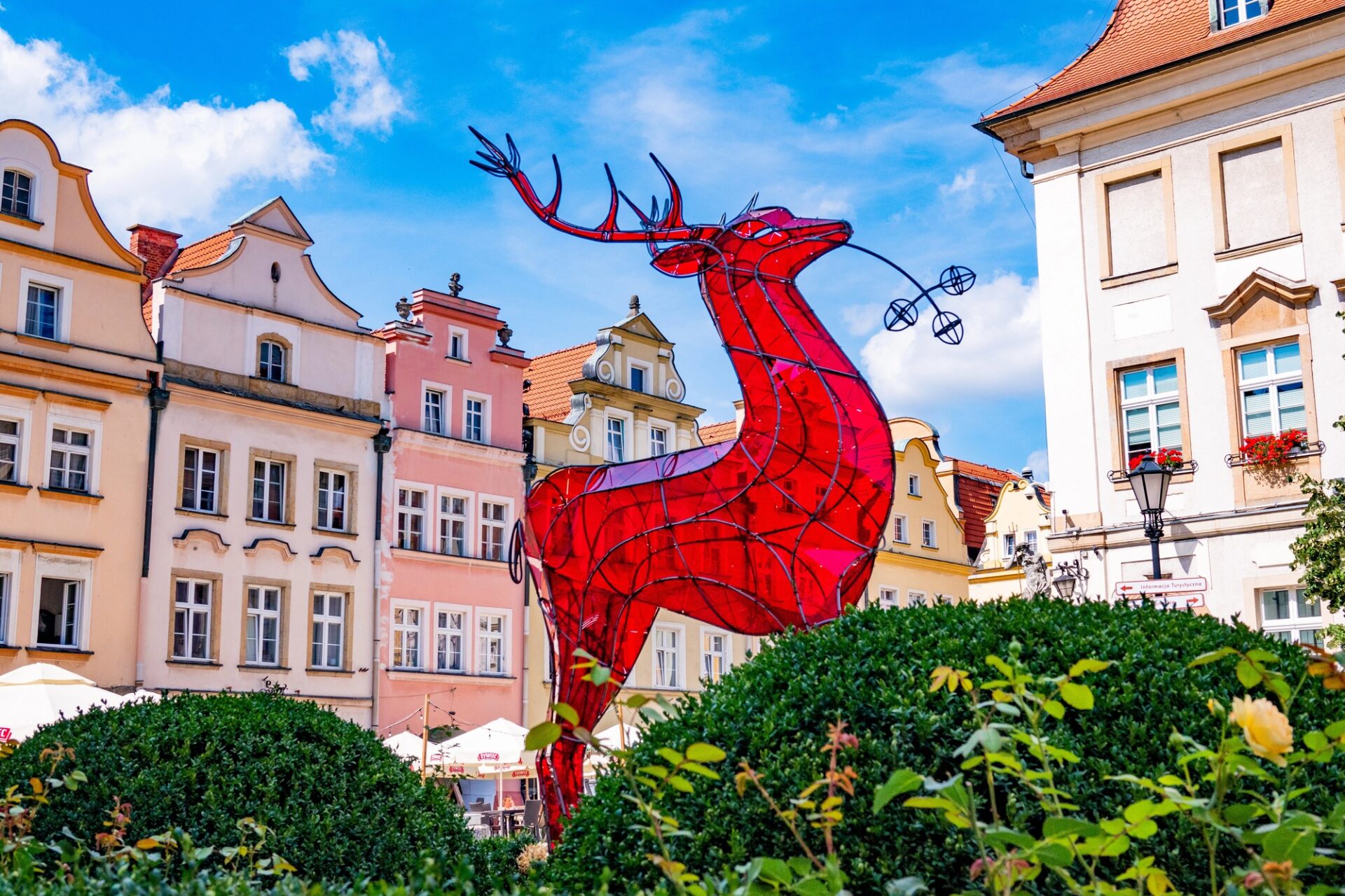 Skleněná červená socha jelena – symbol Jelení Hory na Radničním náměstí