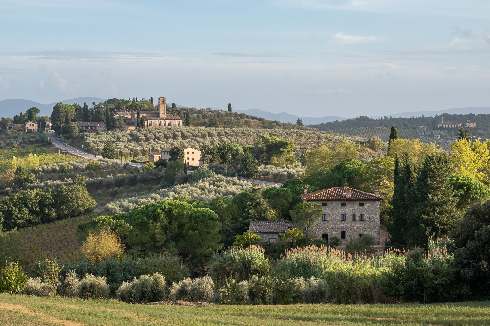 Toskánská krajina s olivovníky a venkovskými statky v okolí San Gimignana