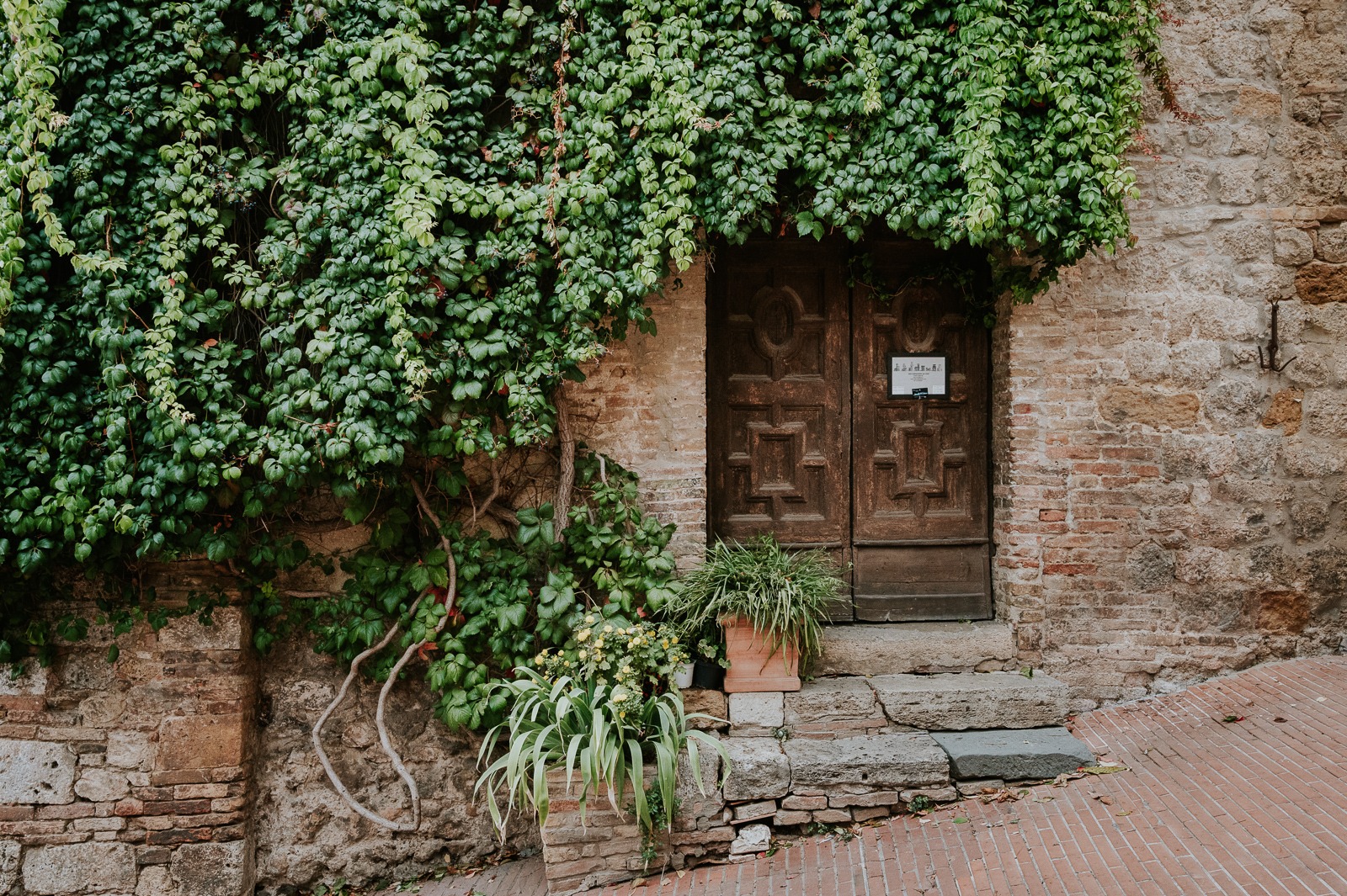 Středověké dřevěné dveře obrůstané břečťanem v San Gimignanu