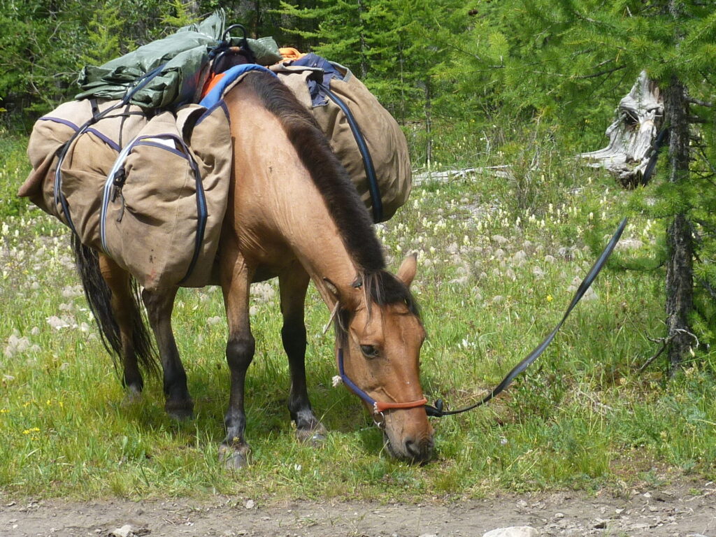 13 věcí, které bych chtěla vědět před cestou po Mongolsku na koni