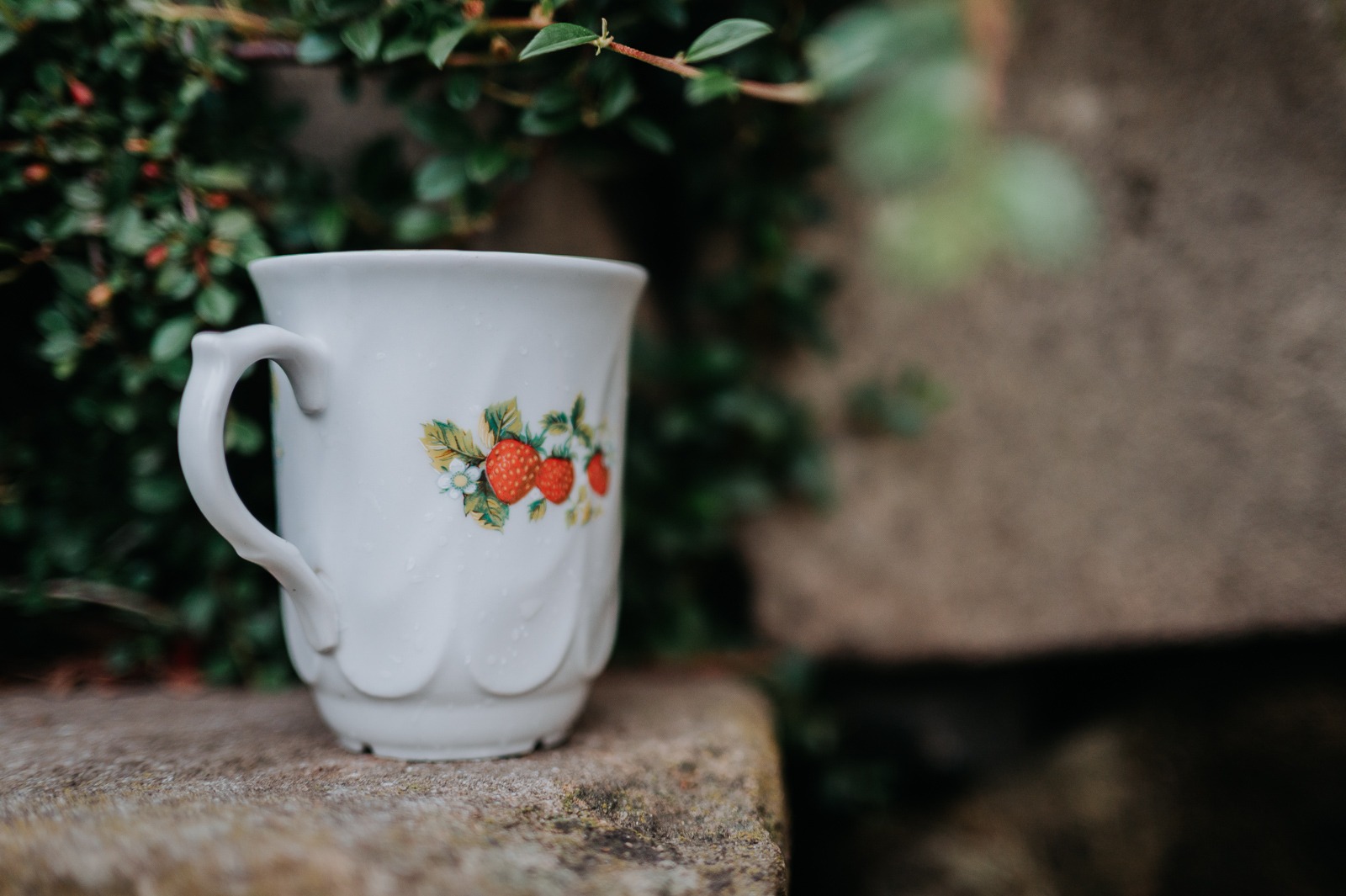 Porcelánový hrnek u studánky s léčivým pramenem vedle kostela v Neratově