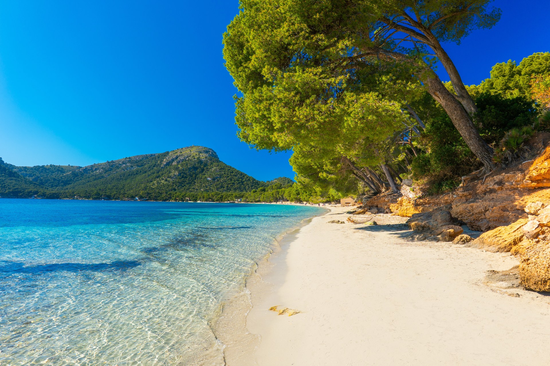 last minute dovolená mallorca invia