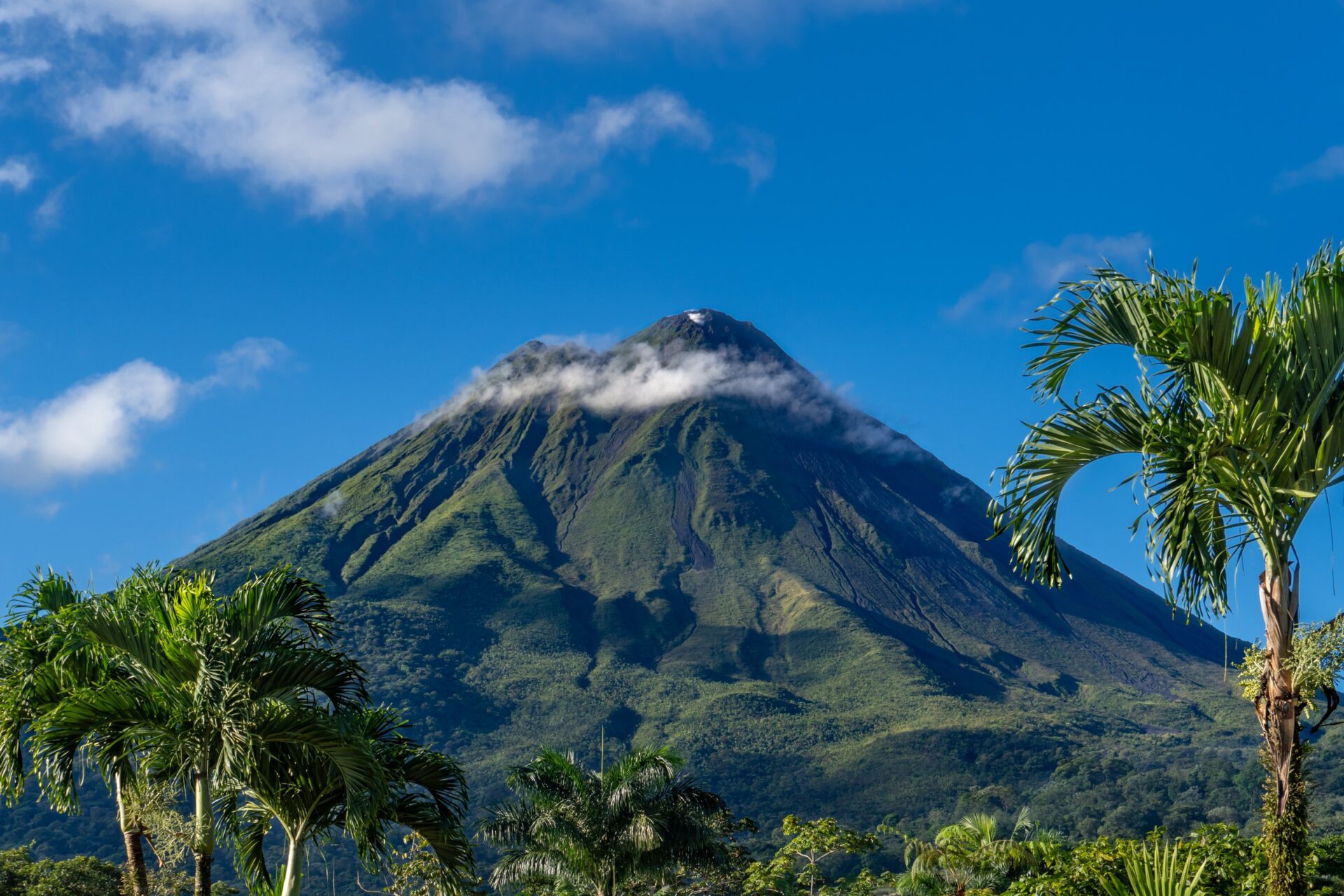 Sopka Arenal nad palmami u La Fortuny na Kostarice