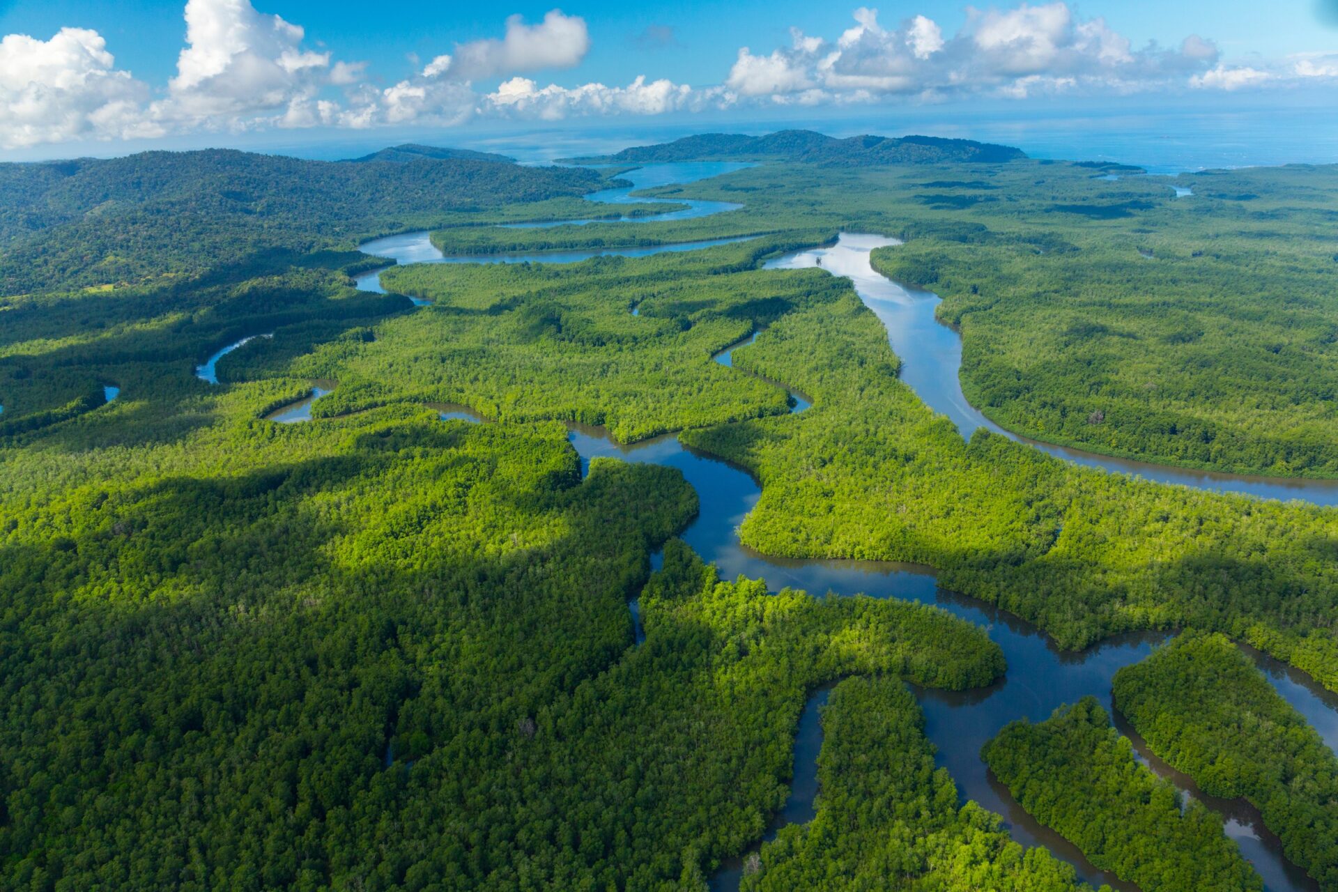 Letecký pohled na deltu řeky Sierpe u národního parku Corcovado na poloostrově Osa