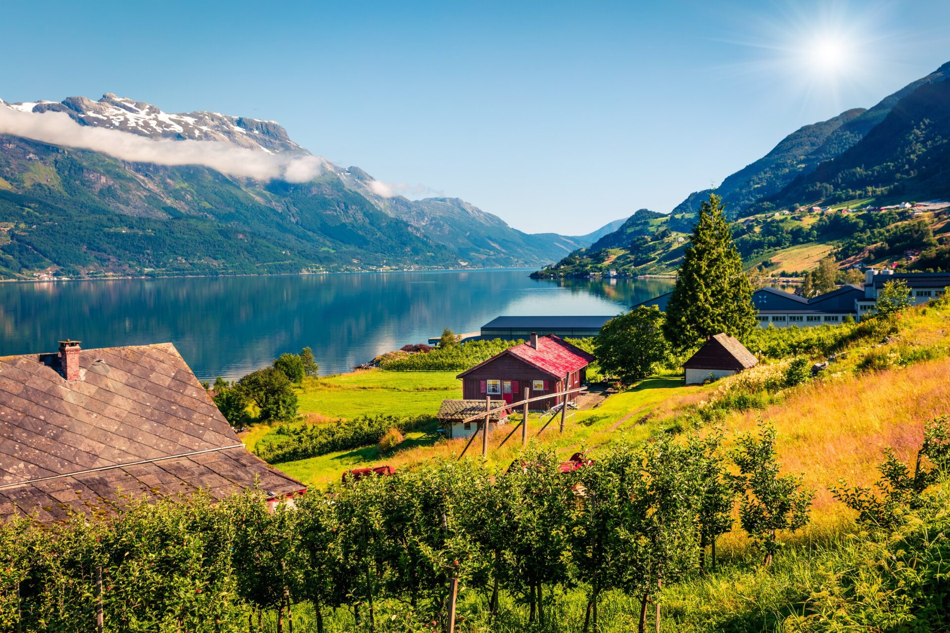 Hardangerfjord Vesnice Lofthus s ovocnými sady nad Hardangerfjordem