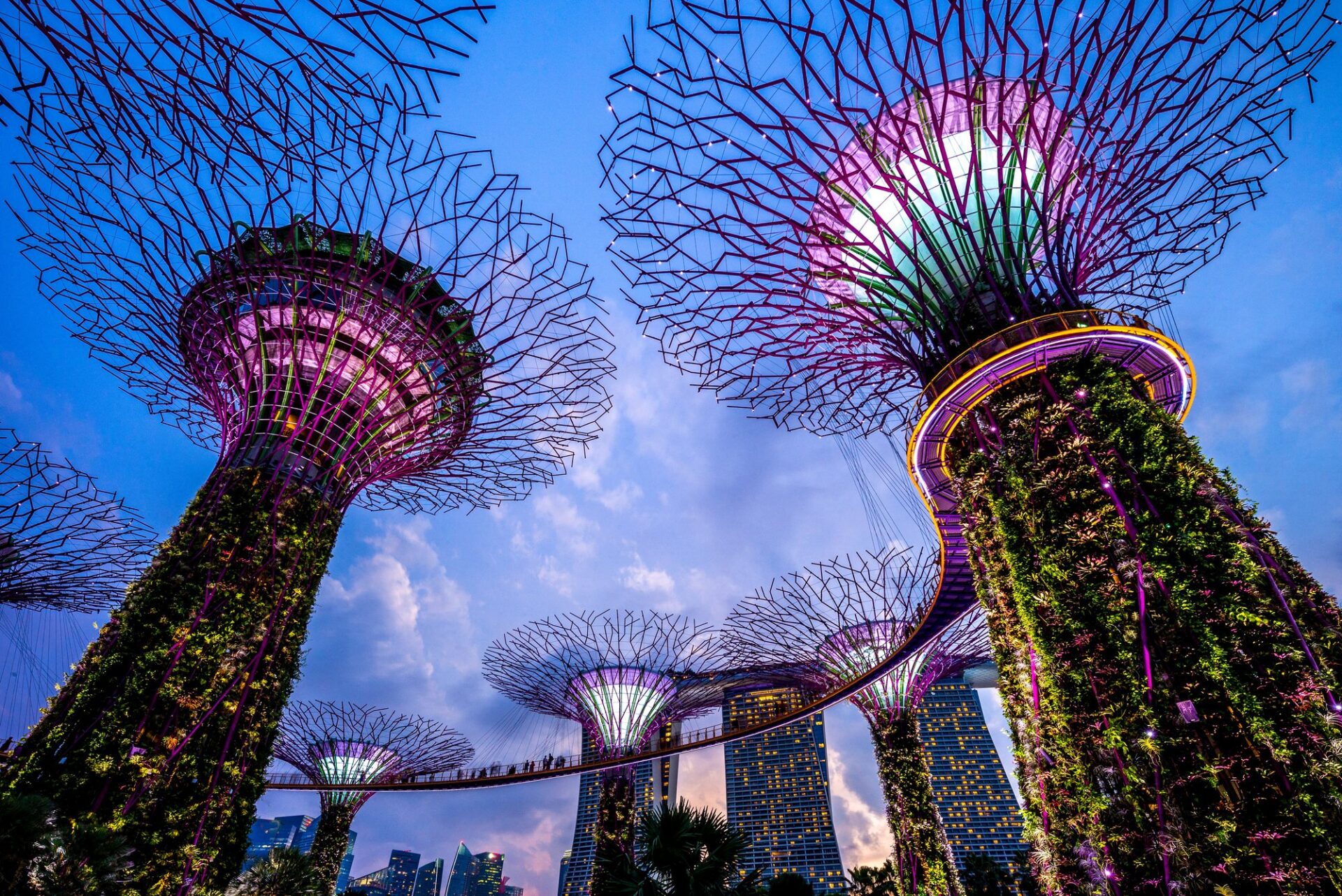 Zahrady Gardens by the Bay se Supertrees v Singapuru