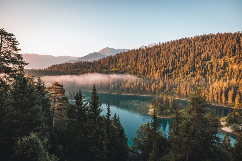 Caumasee Jezero Caumasee u Flims obklopené lesem s ranní mlhou nad hladinou