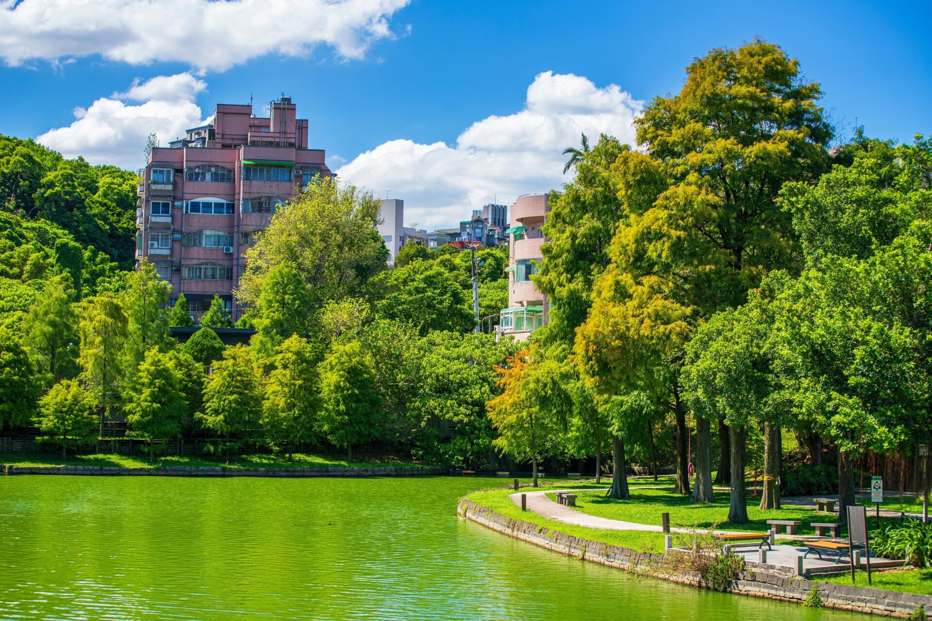 Zelený park s jezírkem a obytnými domy v Taipei