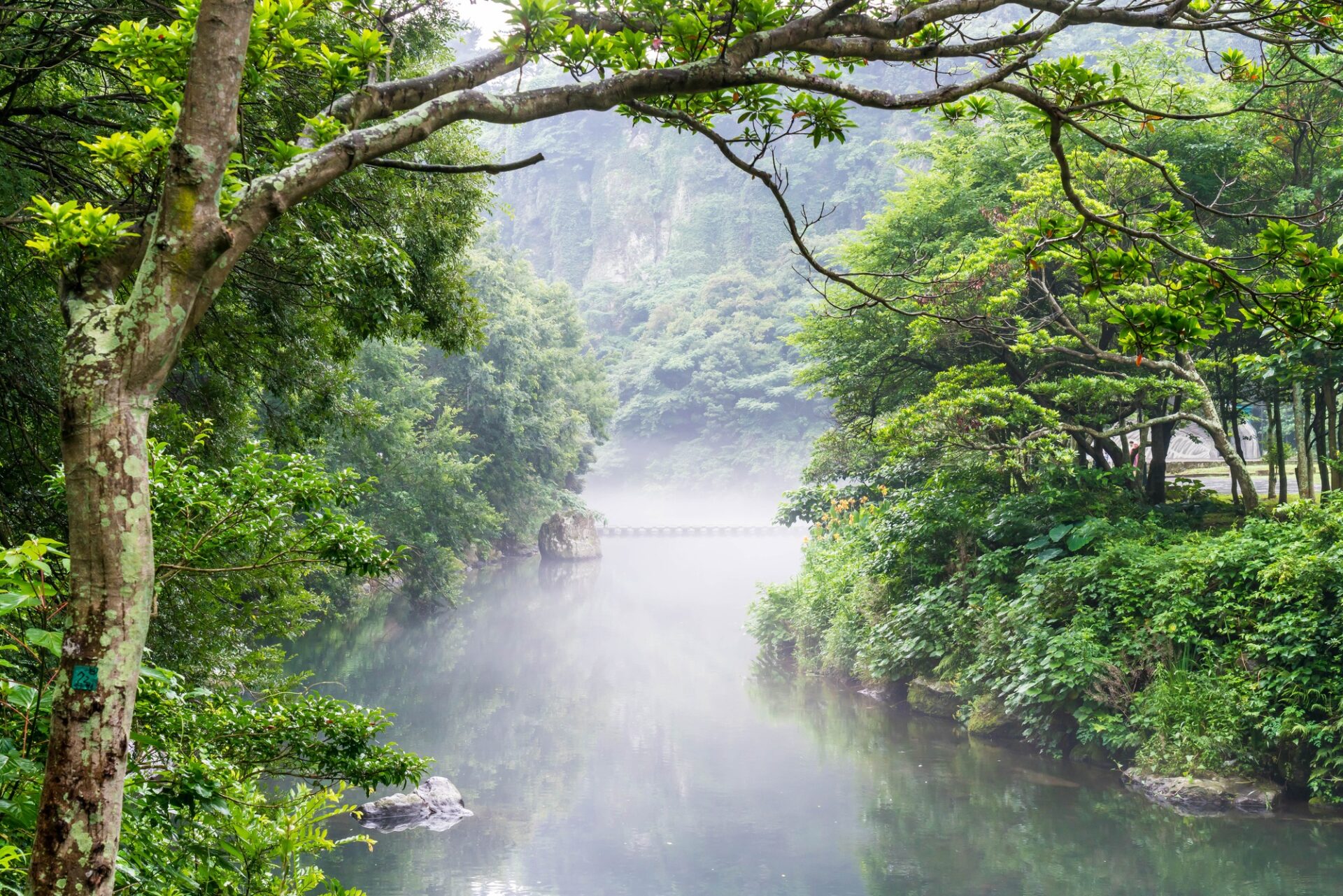 Zelené údolí u vodopádu Cheonjiyeon na ostrově Jeju
