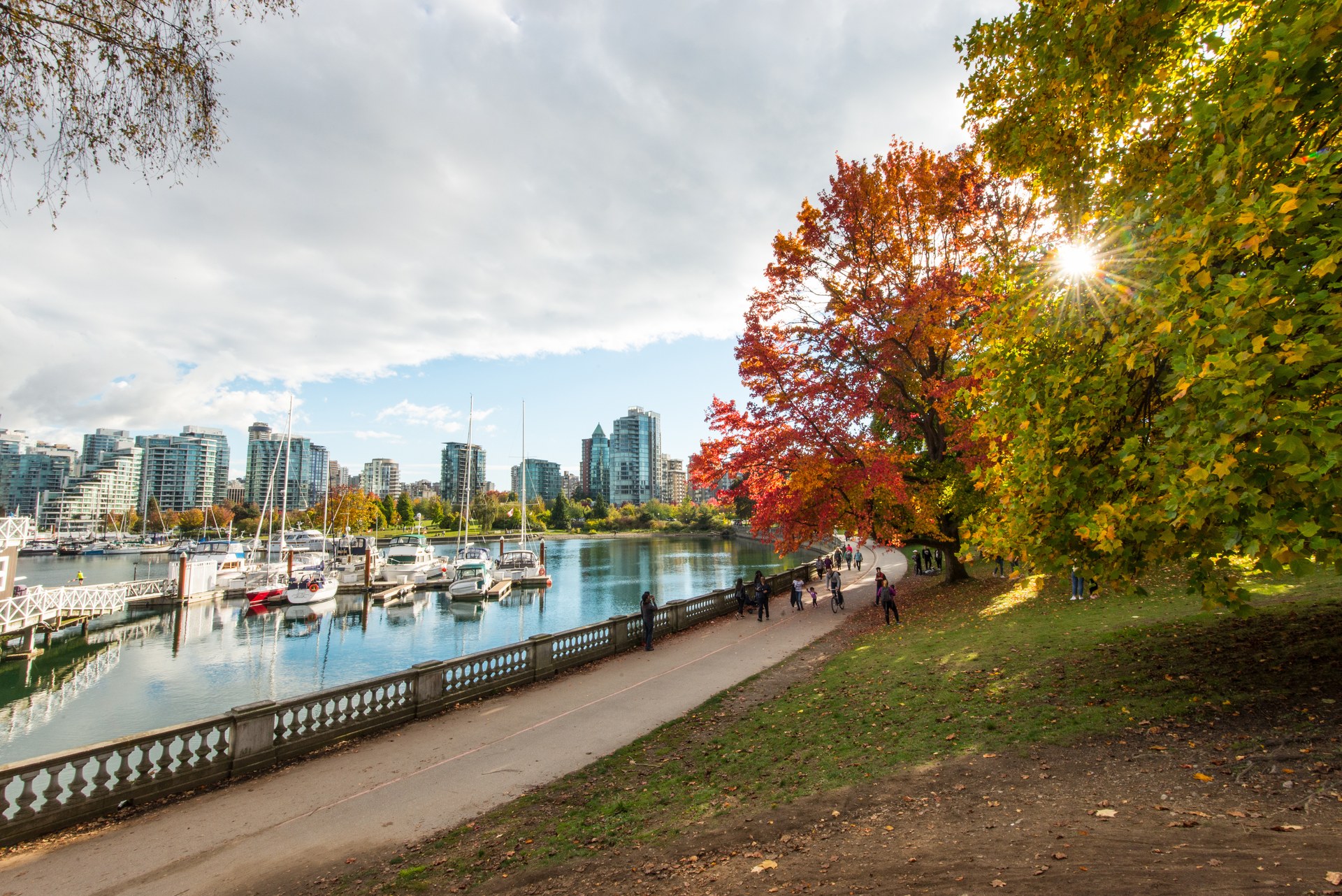 Podzimní stromy a nábřežní promenáda ve Stanley Parku ve Vancouveru