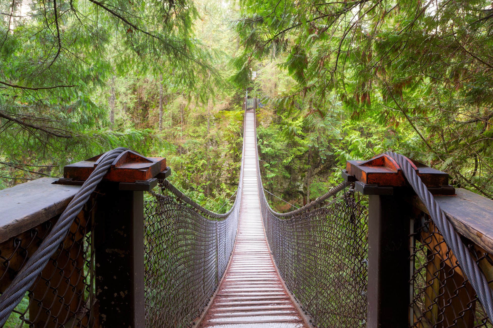 Visutý most mezi stromy v Lynn Canyon Parku v Severním Vancouveru