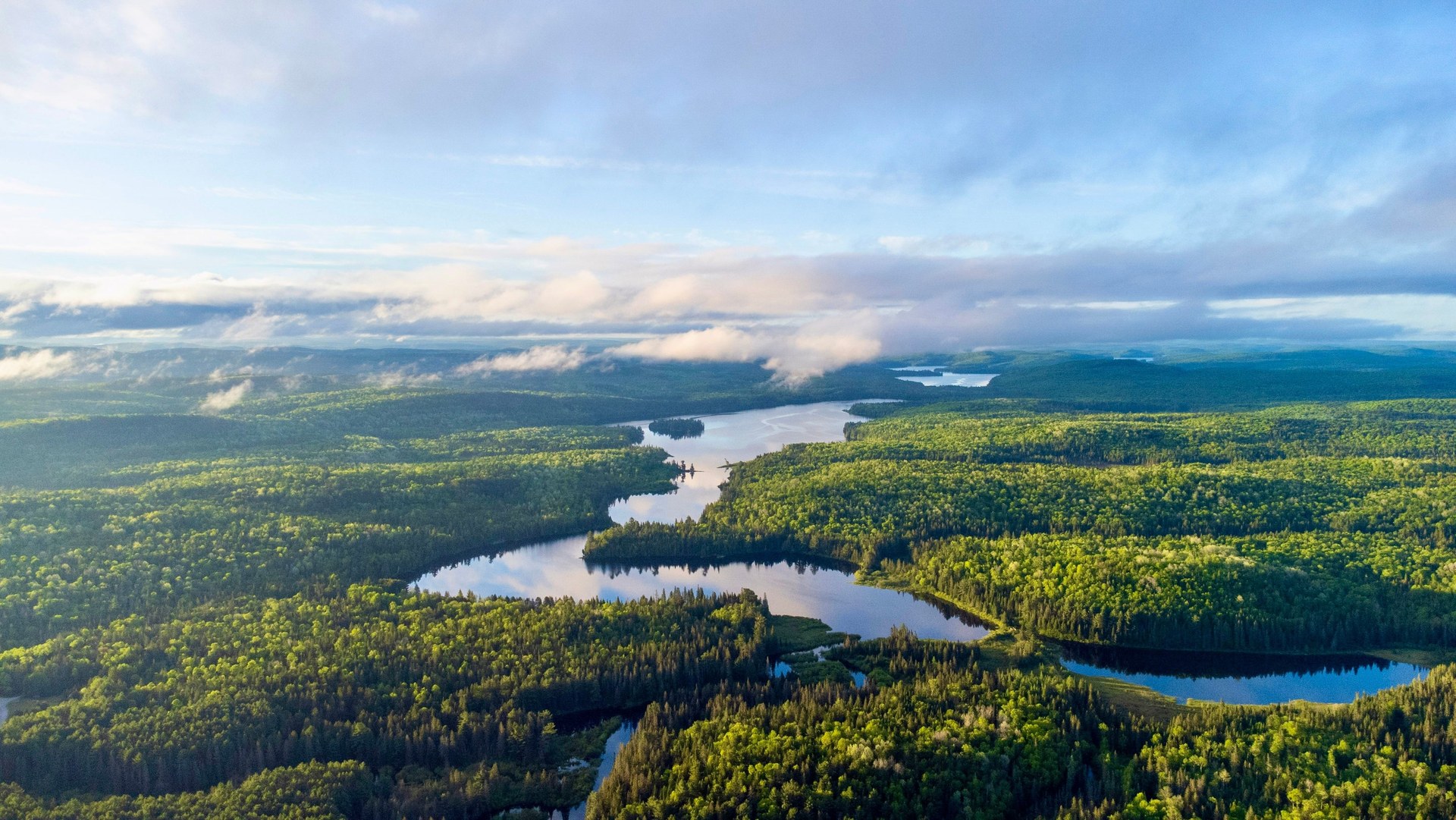 Letecký pohled na jezera a rozsáhlé lesy v Algonquin Provincial Parku