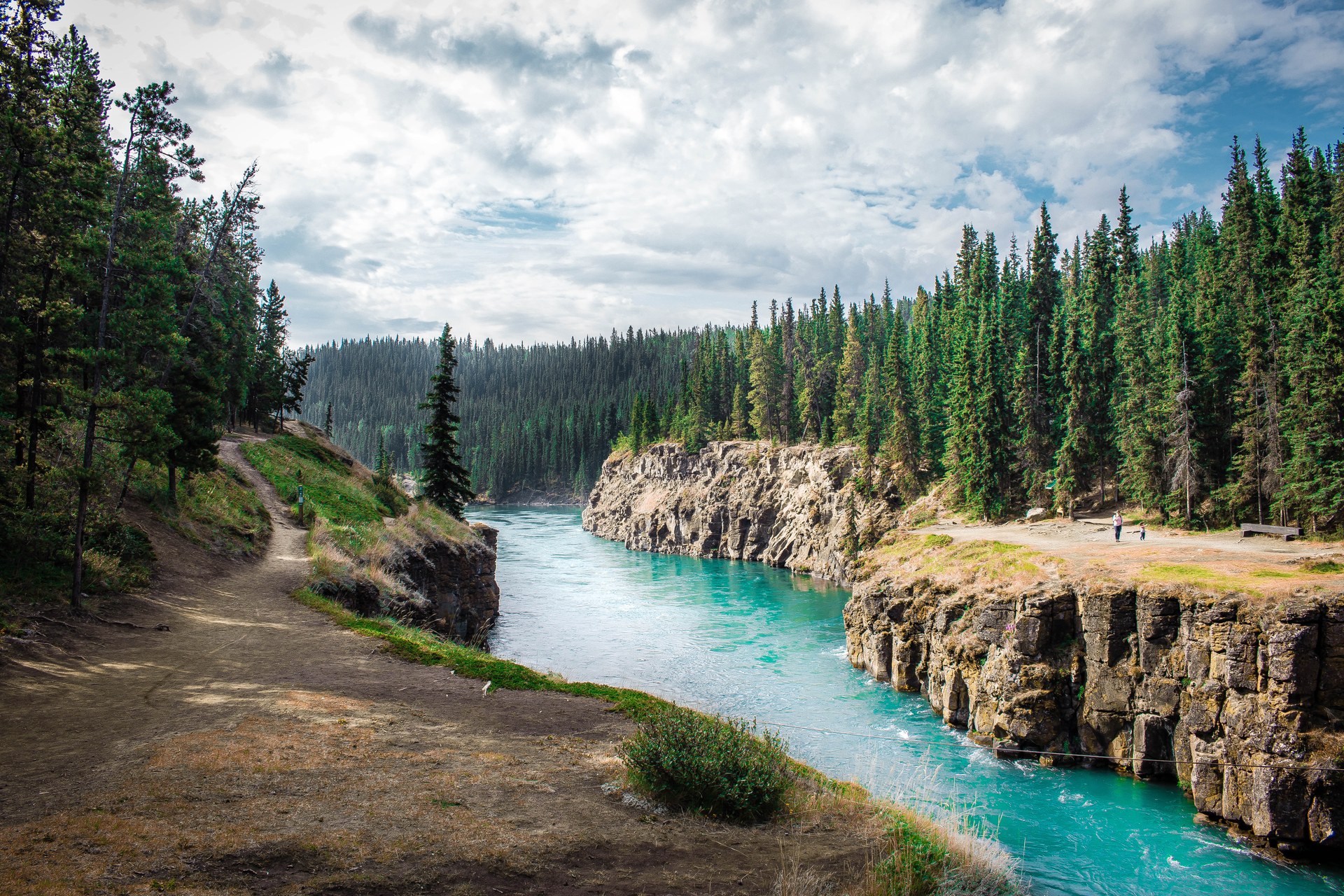 Tyrkysová řeka mezi skalami a lesy v Miles Canyonu na Yukonu
