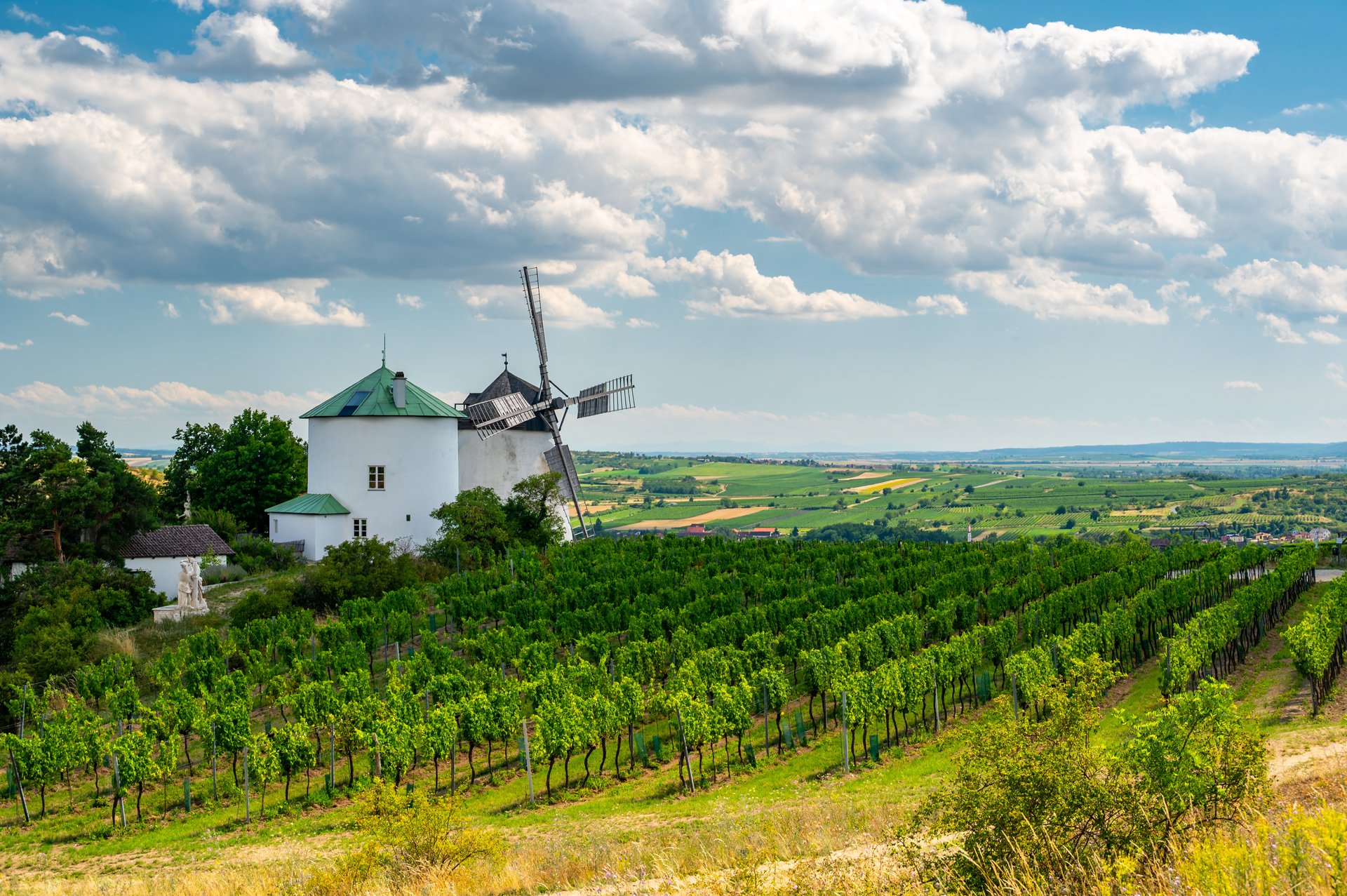 Historický větrný mlýn v Retzu obklopený zelenými vinicemi